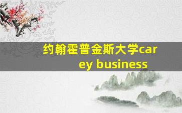 约翰霍普金斯大学carey business